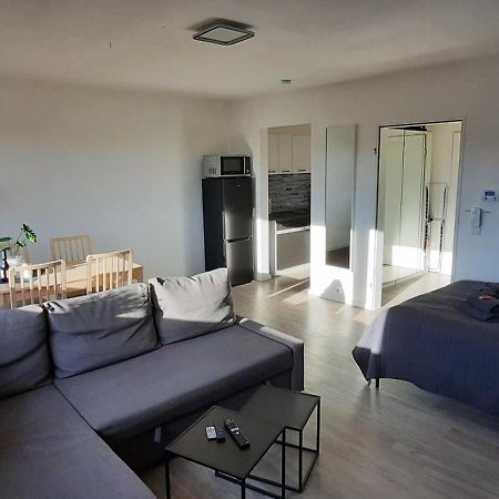 Apartment Horizont Bad Sachsa Eksteriør billede